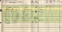 Agnes Simpson Brown 1911 Census