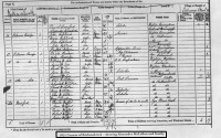 Alexander McLellan and Elizabeth Nae - 1871 Census