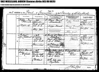 Andrew McLellan, birth registration, Crossmichael parish, 1902
