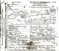 Anna Welter Schons Death Certificate 1913