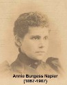 Annie Burgess Napier (1867-1907)