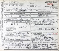 Bertha Ella (Green) Fritz, death certificate, 1935