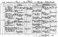 David McLellan and Janet Fisher marriage 1894