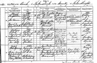 David Templeton, stone mason married to Elizabeth McKean, death registration, 1861