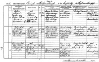 Elizabeth McKean, widow of David Templeton, death registration, 1876