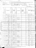 John B. Simonett and family - 1880 US Census