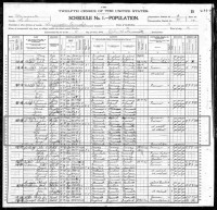 John and Lena Simonett family - 1900 US Census