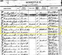 William Hannah and Margaret Stewart, marriage, Perth County, Ontario, Canada, 1897