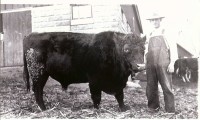 Nicholas Schons, son of Peter and Anna Schons, with one of their farm animals