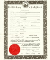 Teresa Miller, death certificate, 1919