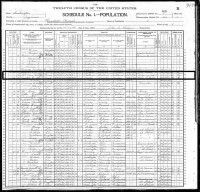 Thomas Campbell McKean - 1900 US Census