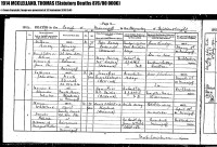 Thomas McLellan, death registration, Minnigaff parish, 1914