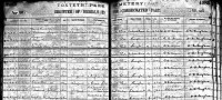 William Coulter burial record - Toxteth Park Cemetery, Liverpool, England, 1908