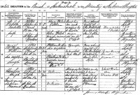 William McKean, death registration, Kirkmabreck parish, 1860